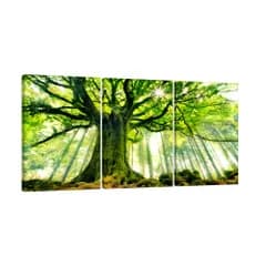 【迅速発送】森の大きな木 緑の絵画 アートパネル 3枚 風景画 自然風景画 モダンポスター 緑の木アート 家の壁飾り 玄関ホール 風水 縁起の良い装飾画 壁掛け 部屋飾り 完成品 木製フレーム (40X60cmX3pcs 森のポスター17)