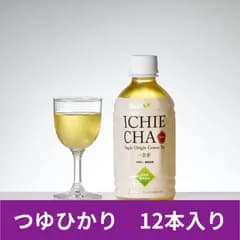 ICHIE CHA(一会茶)つゆひかり　ペットボトル緑茶　12本