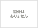 【限定】【新品未開封品】ユニクロ★ベルセルク2